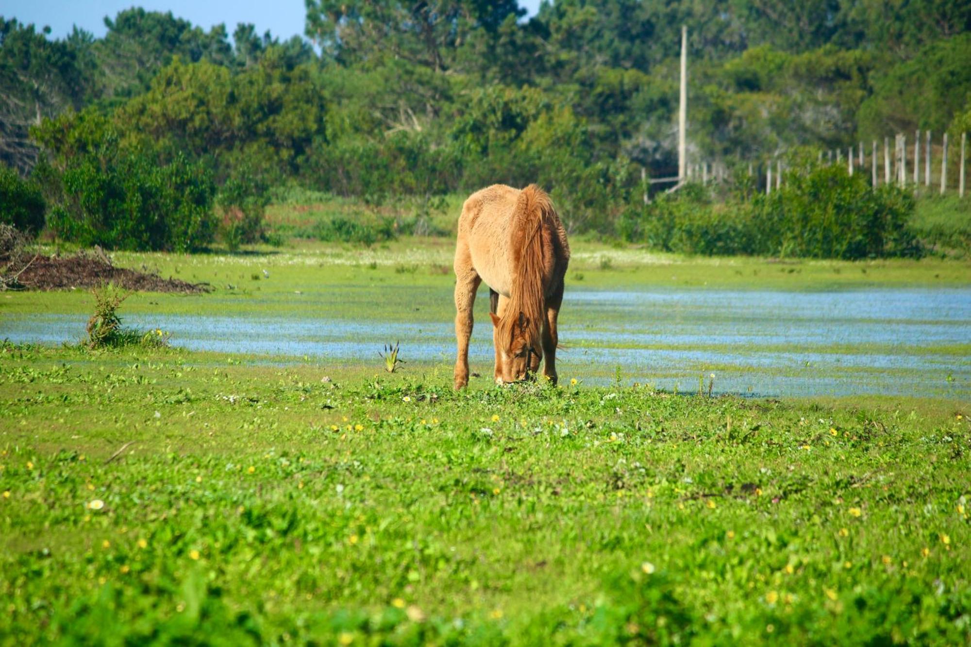 Herdade Monte Do Sol Aljezur Bagian luar foto